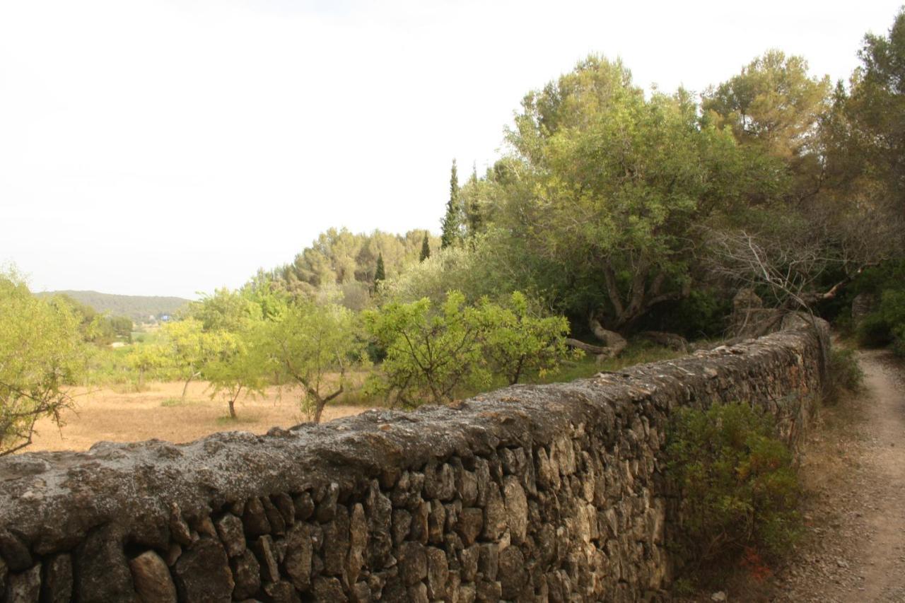 Apartamento rústico reformado con encanto  Sant Pere De Ribes Exterior foto